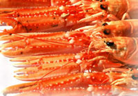 Matjes im Restaurant Pronstorfer Krug